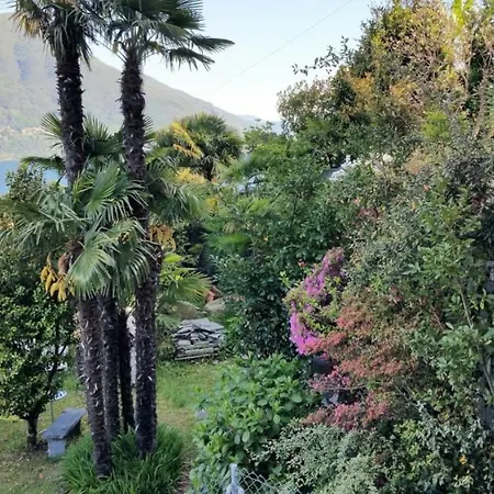 Venus Garden 3* Brissago