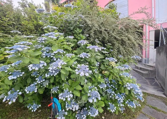 Venus Garden Бриссаго