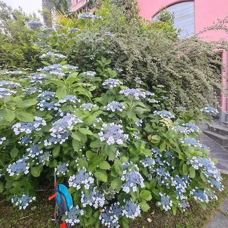 Venus Garden Brissago